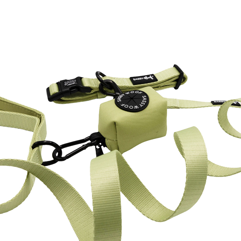 The Sassy Woof Dog Three Piece Bundle - Matcha features a light green leash and collar with black metal clasps, an adjustable strap, and a matching waste bag holder, all shown against a white background.