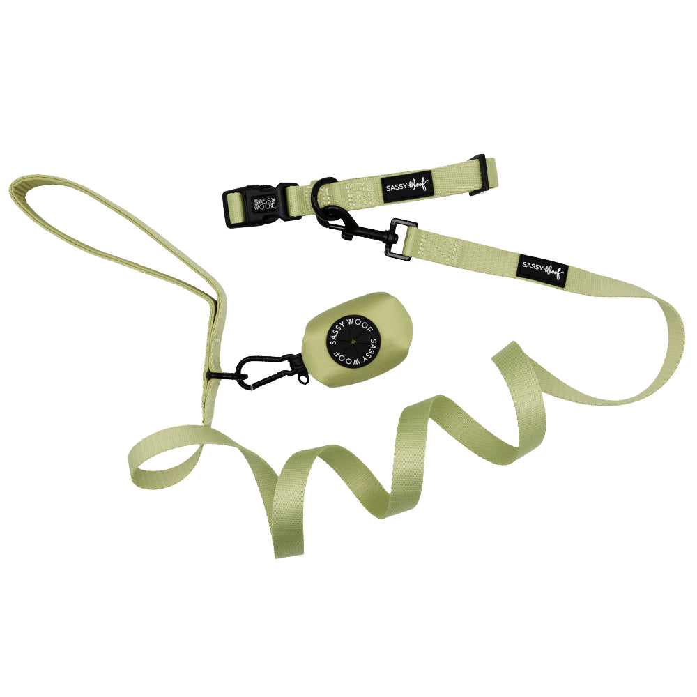 A light green retractable dog leash with black clasp, adjustable strap, handle loop, and Sassy Woof brand tag features a small round case labeled SAFETY WOOD. Pairs perfectly with the Matcha dog collar in the Dog Three Piece Bundle - Matcha.