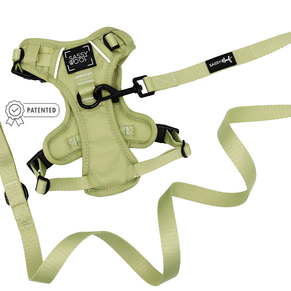 The Sassy Woof Dog Two Piece Bundle - Matcha features a light green step-in harness with adjustable straps, a matching leash, the Sassy Woof logo on the chest plate, and a patented label icon.