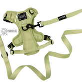 The Sassy Woof Dog Two Piece Bundle - Matcha features a light green step-in harness with adjustable straps, a matching leash, the Sassy Woof logo on the chest plate, and a patented label icon.