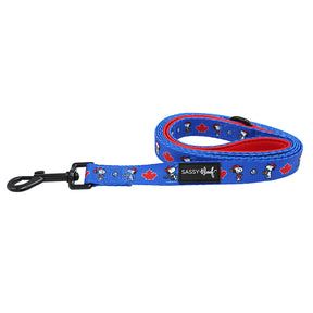 The Dog Leash - MLB™ x Peanuts™ Toronto Blue Jays™ by Sassy Woof is blue with a red inner lining, features Snoopy and maple leaves, and has a black metal clasp plus a black SASSY WOOF label.