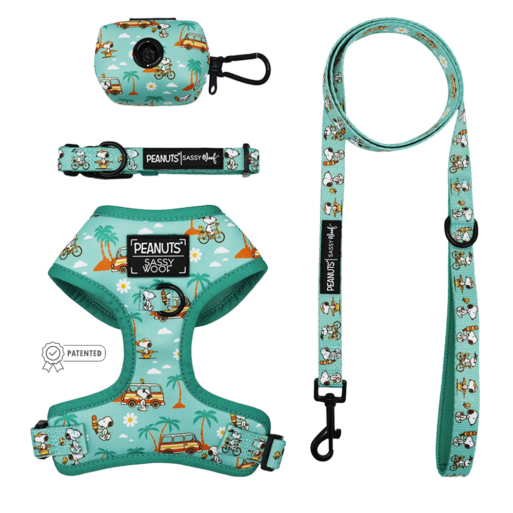 The Dog Four Piece Bundle - Peanuts™ Road Trippin’ by Sassy Woof includes a turquoise harness, leash, collar, and waste bag holder with Snoopy, Woodstock, palm trees, and surf vans, shown on a white background.