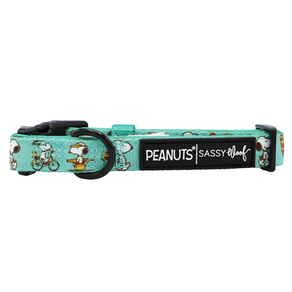 The Sassy Woof Dog Collar - Peanuts™ Road Trippin' is a turquoise, adjustable collar with Snoopy illustrations, black buckle, metal ring, and a black PEANUTS | SASSY WOOF label—ideal comfy adventure gear for your dog.