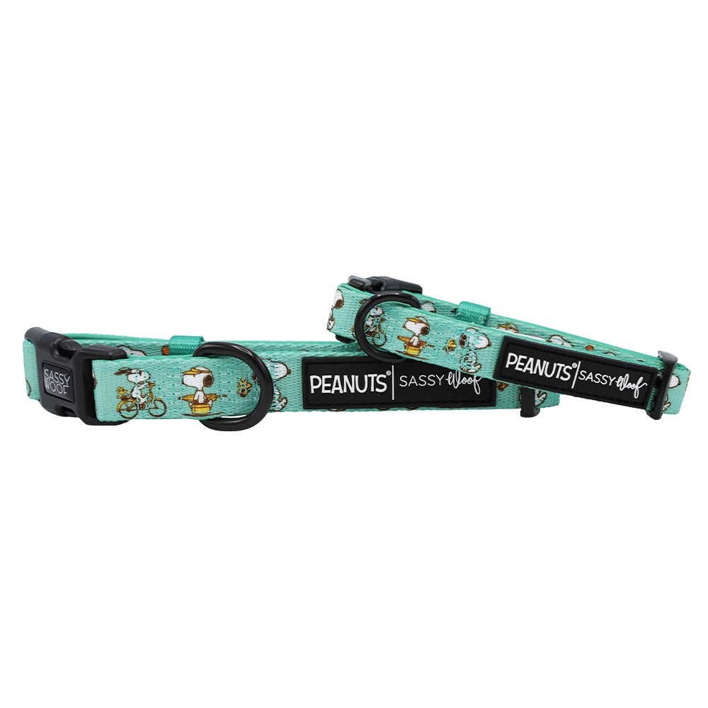 Two turquoise Sassy Woof dog collars featuring Snoopy and Woodstock from the Peanuts™ Road Trippin' collection. Adjustable design with black plastic buckles and logo tags—perfect, comfortable adventure gear for your pup.
