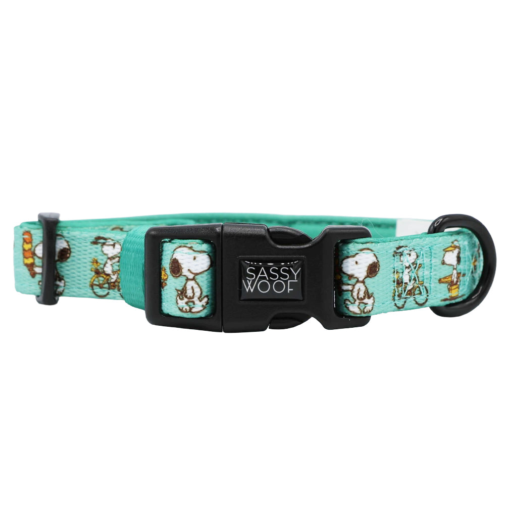 The Sassy Woof Collar Three Piece Bundle - Peanuts™ Road Trippin' features teal collars with Snoopy prints, a black buckle with the Sassy Woof logo, and a metal D-ring—ideal adventure gear for your dog.