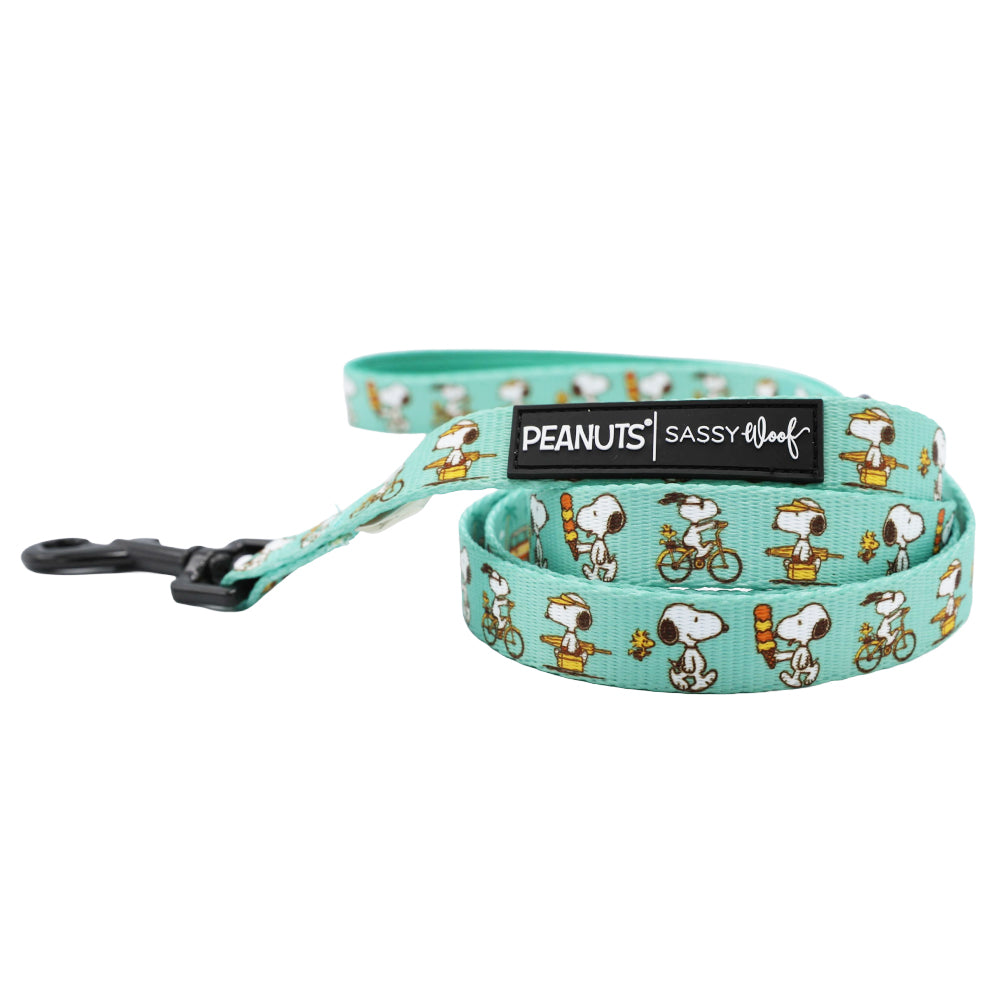 The Dog Four Piece Bundle - Peanuts™ Road Trippin' by Sassy Woof includes a light blue leash with Snoopy illustrations and pairs perfectly with the matching harness for stylish, coordinated dog adventures. Features black hardware and branded tags.