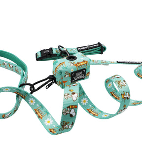 The Sassy Woof Collar Three Piece Bundle - Peanuts™ Road Trippin’ features a teal leash and collar with Snoopy, Woodstock, daisies, and a black Peanuts logo charm—ideal adventure gear for your pup's next journey.