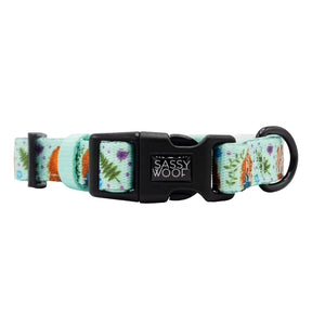 The Sassy Woof Harness Three Piece Bundle - Disney's Merida includes a light blue floral and bear print collar with a black plastic Sassy Woof buckle and sturdy D-ring. Pair it with the adjustable harness for the perfect Disney Brave-inspired look.
