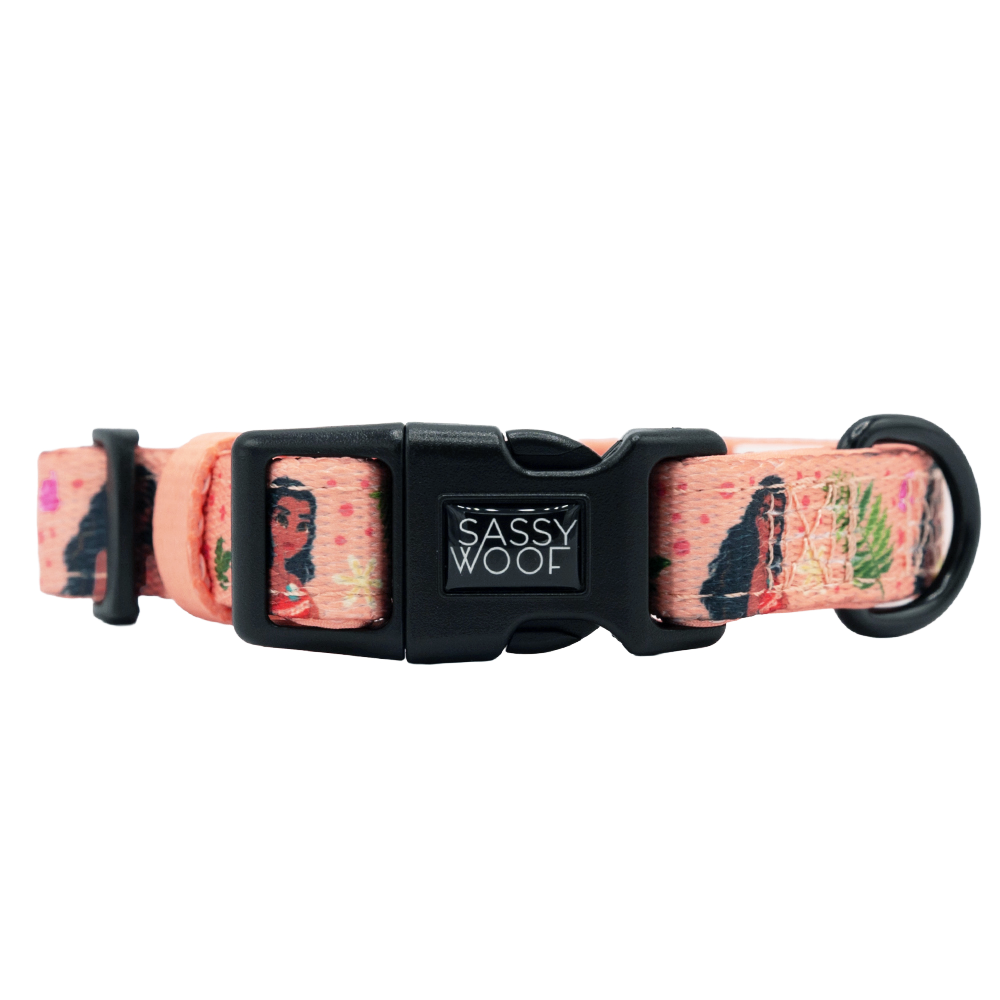 The Sassy Woof Harness Three Piece Bundle – Disney’s Moana features a stylish collar with a black metal leash ring and plastic buckle, plus an adjustable harness to support your pup's growth, all adorned with women and plants motifs.