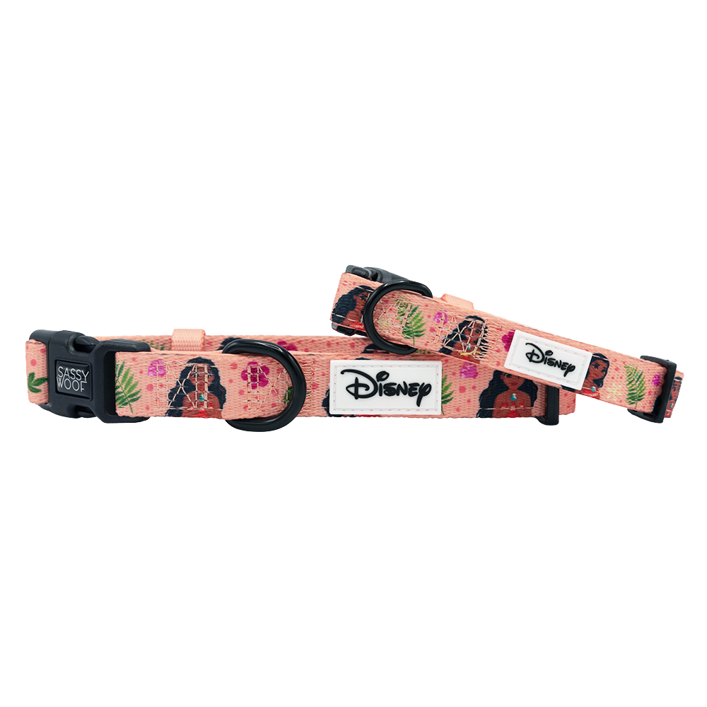 Two pink Sassy Woof Disney's Moana dog collars with tropical patterns, cartoon characters, black buckles, metal rings, and a stitched Disney logo—great for pairing with an ocean-themed or Disney Moana dog harness.