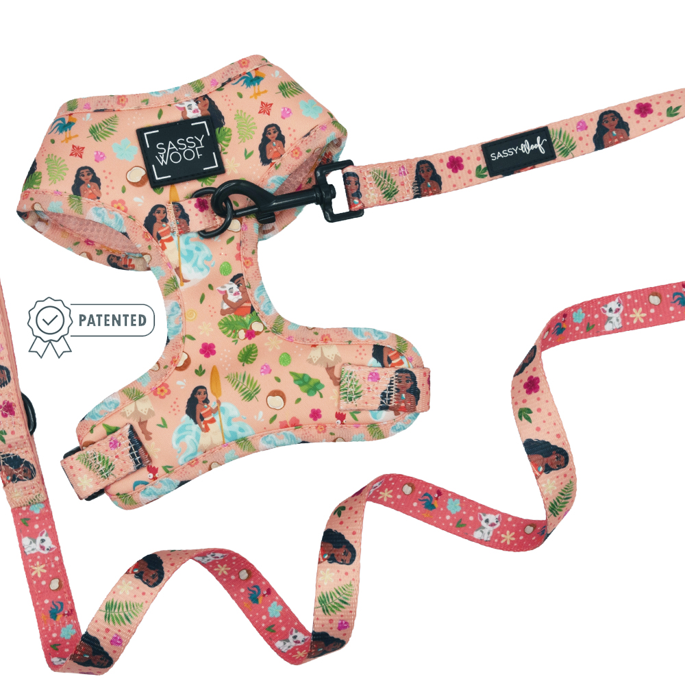 The Sassy Woof Dog Two Piece Bundle – Disney's Moana features a pink adjustable harness and leash with colorful island-themed designs, girls, flowers, and leaves—perfect for ocean lovers seeking playful dog accessories.