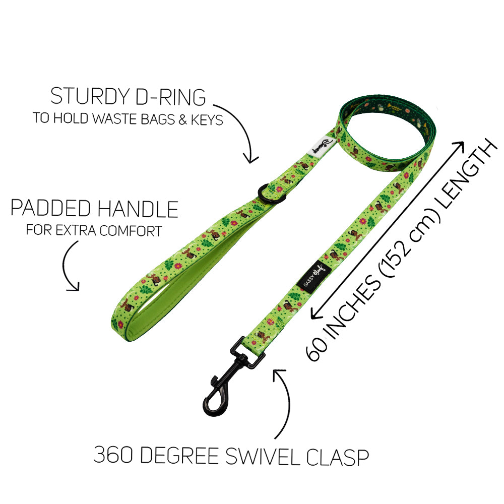 The Dog Leash - Disney's Tiana by Sassy Woof features a green pattern, padded handle, sturdy D-ring, 360° swivel clasp, and is 60 inches (152 cm) long. Designed for comfort and convenience during walks.