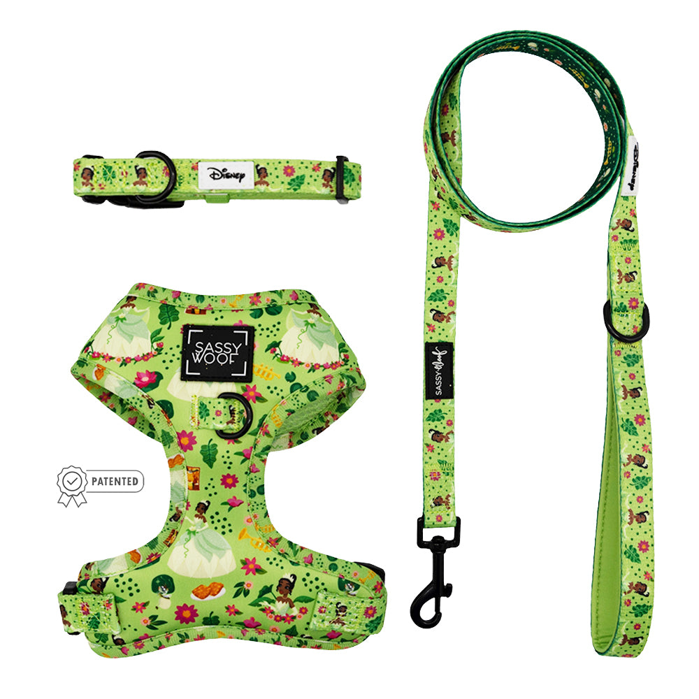 The Sassy Woof Harness Three Piece Bundle - Disney's Tiana includes a floral and character print collar, step-in Princess and the Frog harness, and matching leash—all with black buckles and hardware.