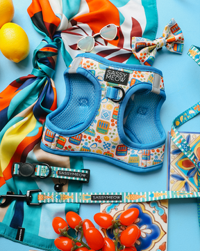 A vibrant flat lay shows the Sassy Woof Cat Bundle - Portofino: a blue harness, leash, and collar with colorful patterns, plus a matching bow tie, sunglasses, multicolored scarf, lemons, tomatoes, and tile on a blue background.