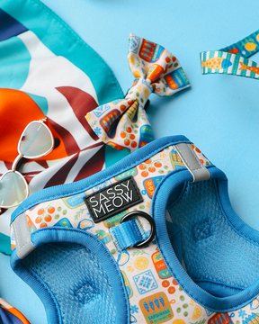 A Cat Bowtie - Portofino by Sassy Woof, a matching harness from the Portofino Cat Collection, white sunglasses, and a colorful scarf are displayed on a light blue surface.
