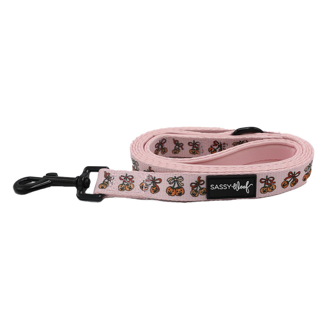 The Sassy Woof Dog Leash - Sassy Lil Pumpkins features a pink design with a floral and butterfly pattern, a comfortable neoprene handle, black metal clip, and is finished with a black Sassy Woof label.