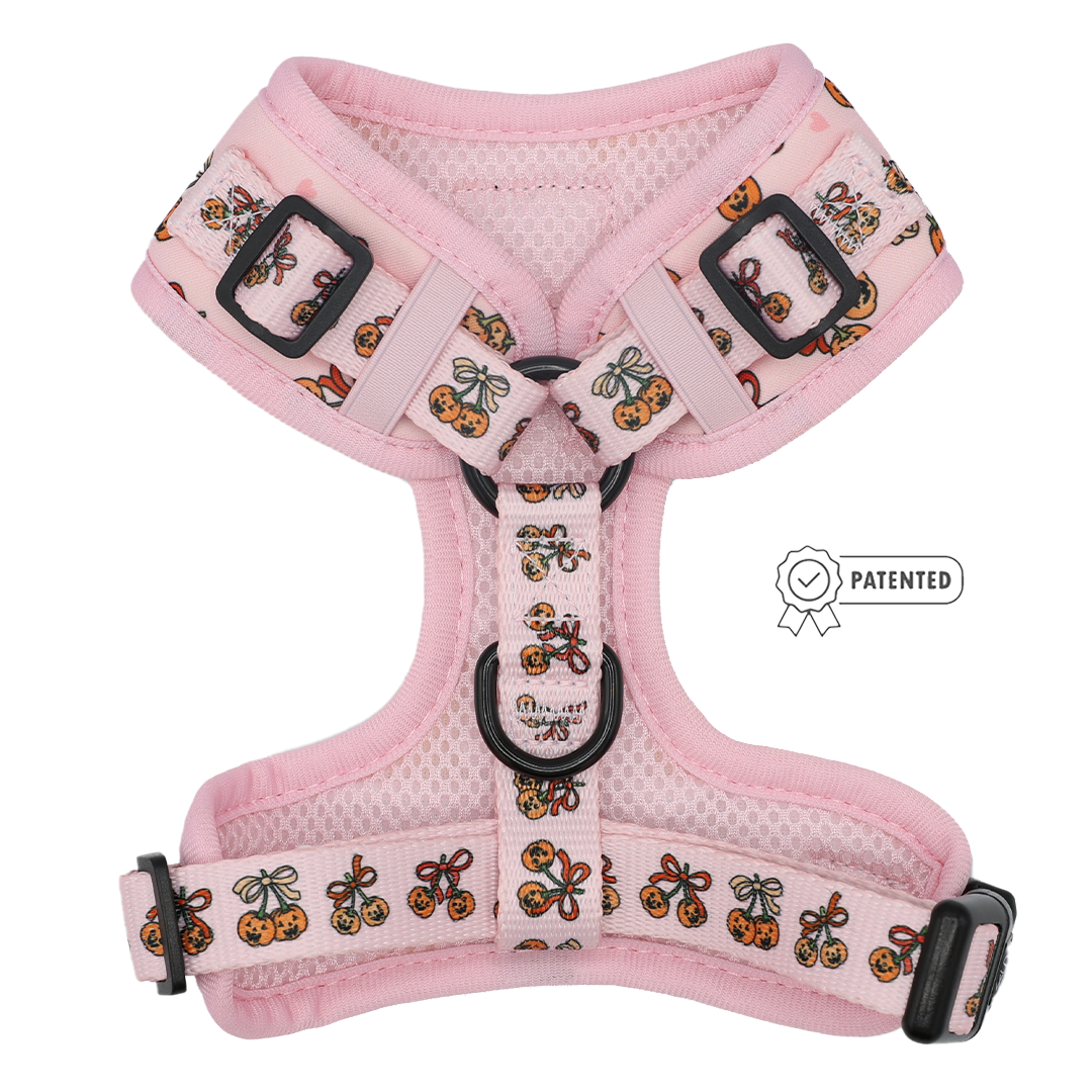 Introducing the Sassy Woof Dog Adjustable Harness - Sassy Lil Pumpkins: a pink harness with adjustable straps for a customized fit, adorned with a whimsical pattern of cartoon flowers, bees, and ladybugs. This charming harness features a patented badge alongside its playful design.