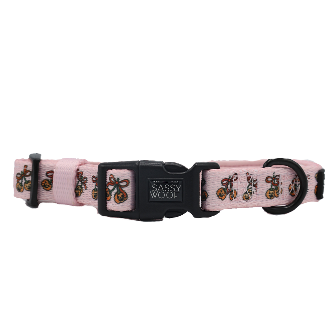 A pink neoprene dog collar from Sassy Woof’s Sassy Lil Pumpkins Collection, featuring adjustable black plastic buckles, a sturdy metal ring, and a playful bicycle-with-basket pattern on the strap.