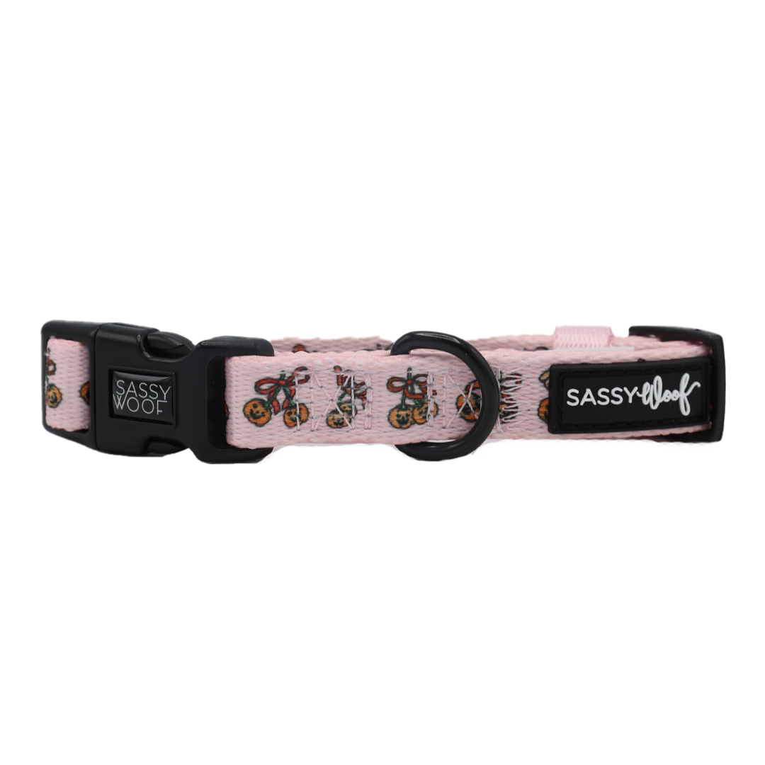 A pink adjustable dog collar from Sassy Woof’s Sassy Lil Pumpkins collection, designed with a fun bicycle pattern and made of soft neoprene, featuring a black plastic buckle, black D-ring, and the signature SASSY WOOF logo on a black tag.