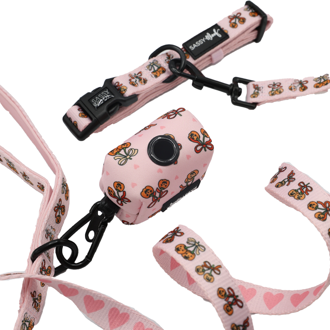 The Dog Three Piece Bundle - Sassy Lil Pumpkins by Sassy Woof, featuring a pink dog collar, leash, and waste bag dispenser decorated with butterfly and heart patterns from the Sassy Lil Pumpkins collection, displayed on a white background.