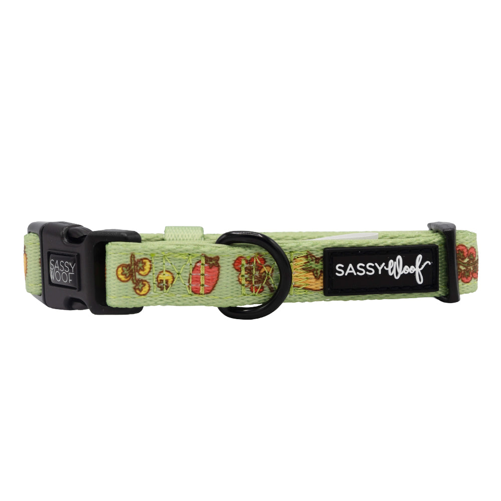 The Sassy Woof Dog Collar - Feeling Vine is a light green, adjustable collar with a black buckle, D-ring, and label. Featuring whimsical butterflies and mushrooms, this plant-inspired collar suits any stylish pup.