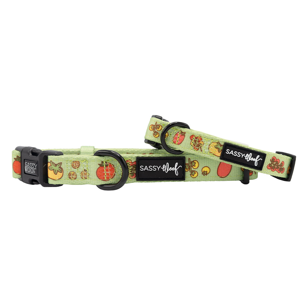 Two green Sassy Woof "Feeling Vine" dog collars with black buckles and plant-inspired designs featuring strawberries, watermelons, and pineapples.