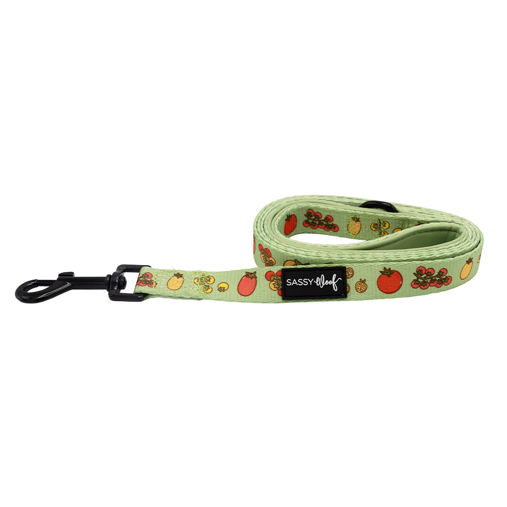 The Sassy Woof Dog Leash - Feeling Vine is light green with a neoprene handle, black metal clasp, colorful fruit and veggie prints, and a black Sassy Woof label from the plant-inspired collection.