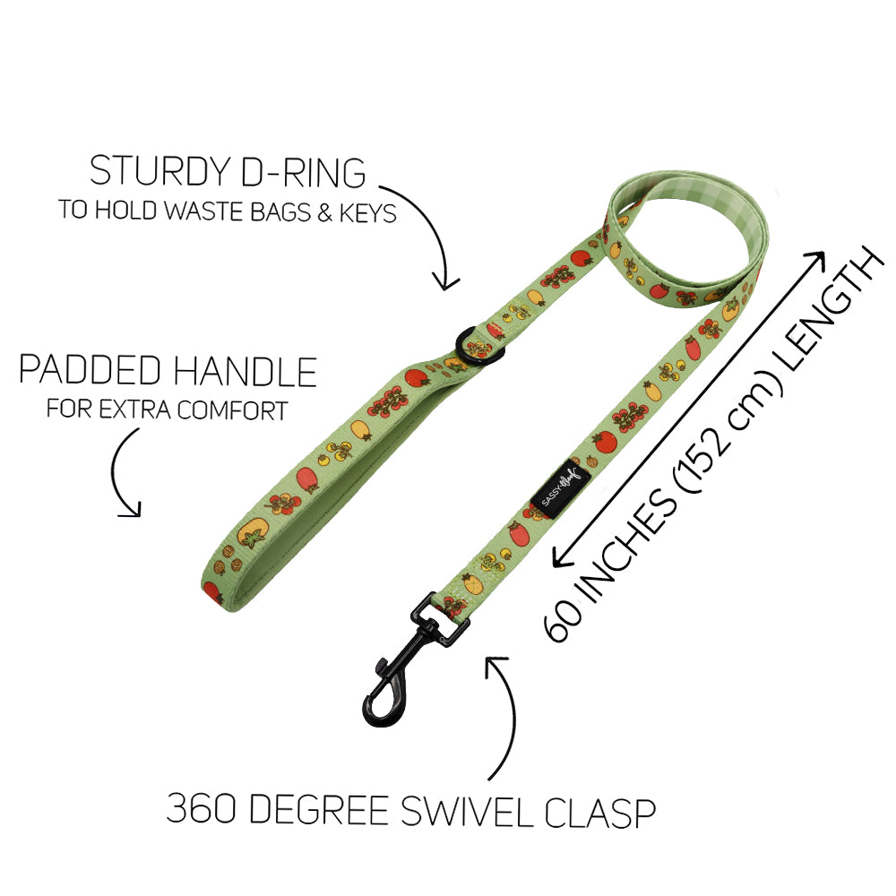 The Sassy Woof Dog Three Piece Bundle - Feeling Vine features a light green leash with cartoon fruit print, sturdy D-ring, padded handle, 360° swivel clasp, and is 60" long. Text annotations spotlight each feature of this plant-inspired accessory.