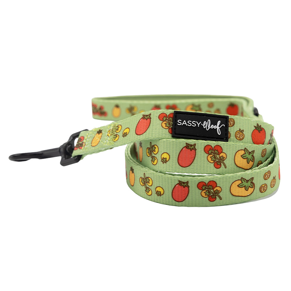 The Sassy Woof Dog Four Piece Bundle - Feeling Vine features a green leash with colorful tomatoes and a black label, plus a black metal clasp—perfect to pair with plant-inspired dog accessories or an adjustable harness.