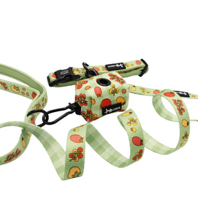The Sassy Woof Dog Three Piece Bundle - Feeling Vine features a light green leash and collar set with colorful mushroom and apple patterns, a small pouch on the leash, and a sturdy black metal clip.