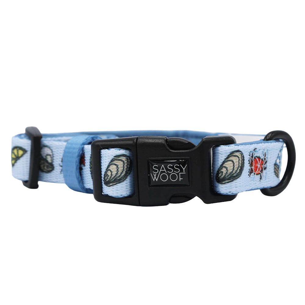 The Sassy Woof Dog Three Piece Bundle - Coastal Cuties includes a light blue adjustable collar with seashell and red crab designs, black plastic buckle printed with Sassy Woof, plus a matching leash for a coordinated look.
