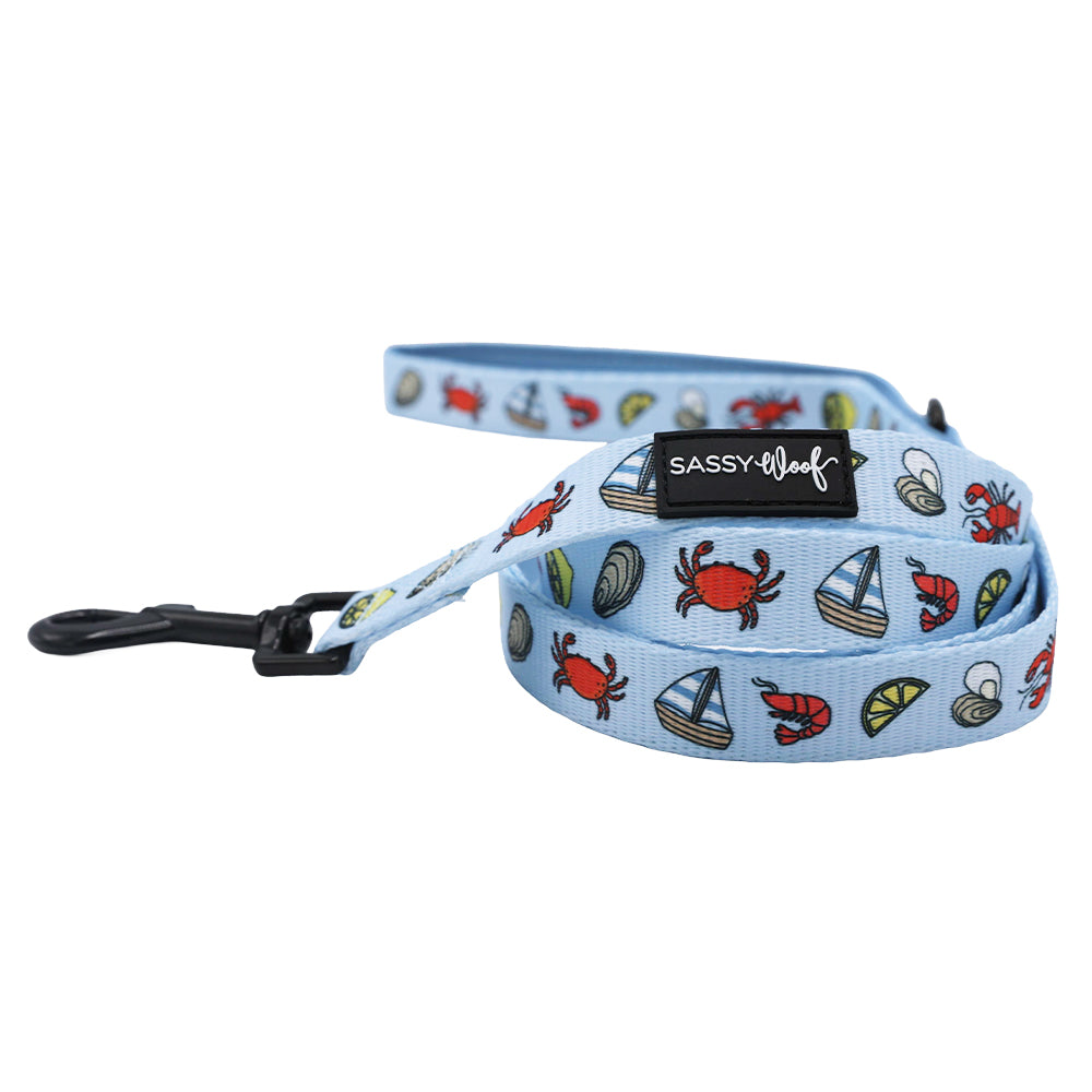 The Sassy Woof Dog Two Piece Bundle – Coastal Cuties features a light blue leash with sea-themed designs, a black clip, and logo patch, pairing perfectly with our adjustable harness.