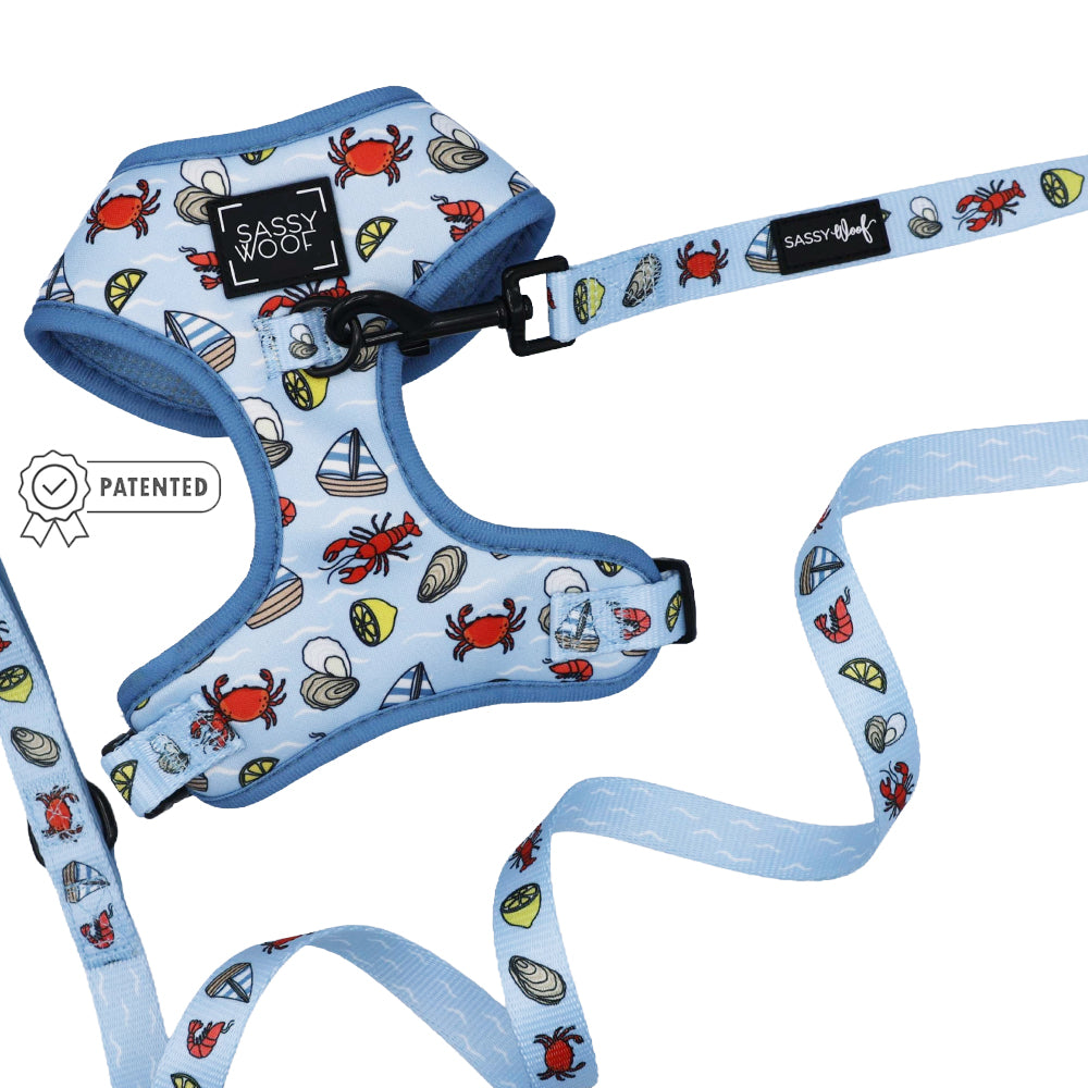 The Sassy Woof Dog Two Piece Bundle - Coastal Cuties features a light blue adjustable harness and leash with nautical prints—crabs, sailboats, shells, starfish—and a Sassy Woof logo plus patented icon.