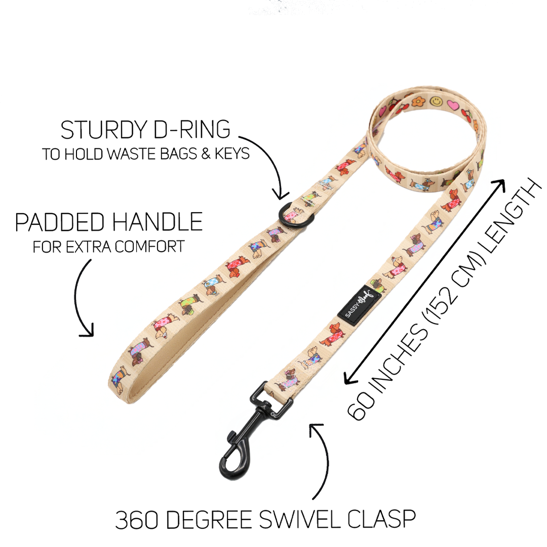 Introducing the Sassy Woof Dog Two Piece Bundle - Sunbean: a beige dog leash adorned with vibrant, playful dog illustrations. It features a padded handle for comfort, a sturdy D-ring for accessories, and a durable black 360-degree swivel clasp. Measuring 60 inches (152 cm) in length, this leash is perfect for pairing with an adjustable harness or the coordinating Doxie pattern harness. Each key feature is thoughtfully designed to ensure both style and functionality.