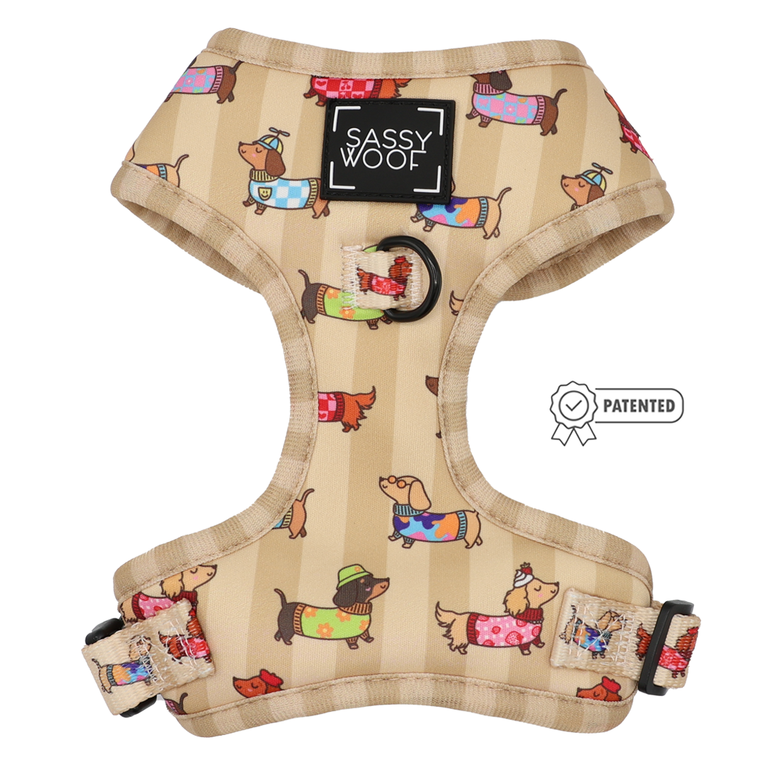 Introducing the Sassy Woof Dog Two Piece Bundle - Sunbean: a beige harness adorned with adorable dachshunds in vibrant outfits and hats. This adjustable harness features durable black buckles, a sturdy metal ring, and the signature “Sassy Woof” label. A patented badge is displayed on the right side, making it an ideal choice for pups enrolled in our Puppy Growth Pawtection Plan.