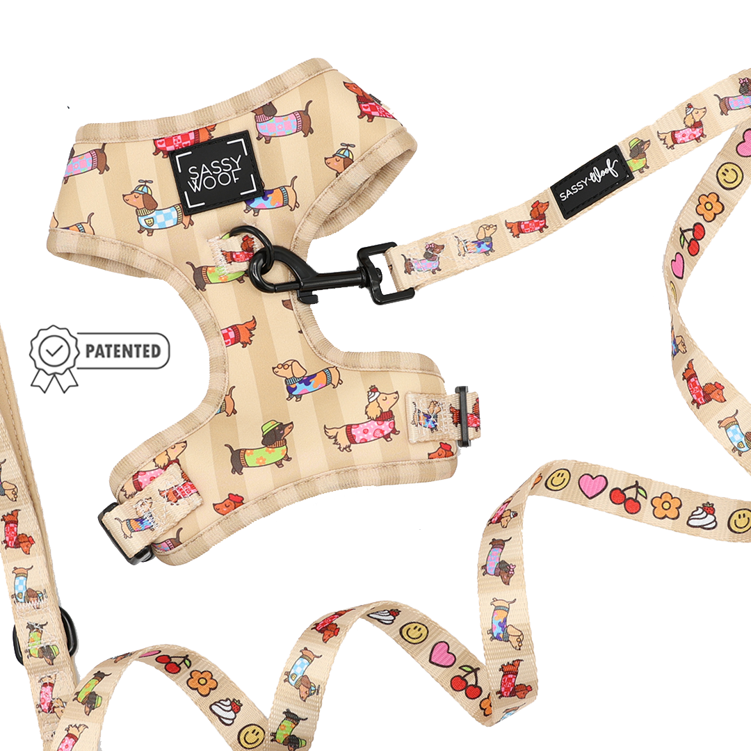 Introducing the Sassy Woof Dog Two Piece Bundle - Sunbean: a beige harness and leash set featuring playful cartoon dog and emoji prints. This patented, adjustable harness ensures comfort and style for your pup.