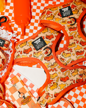 Two Sassy Woof "Hot Dawg" adjustable dog harnesses with playful orange and yellow designs are displayed on a checkered surface, accompanied by a ketchup bottle, gift tag, and shredded paper for a fun, vibrant display.