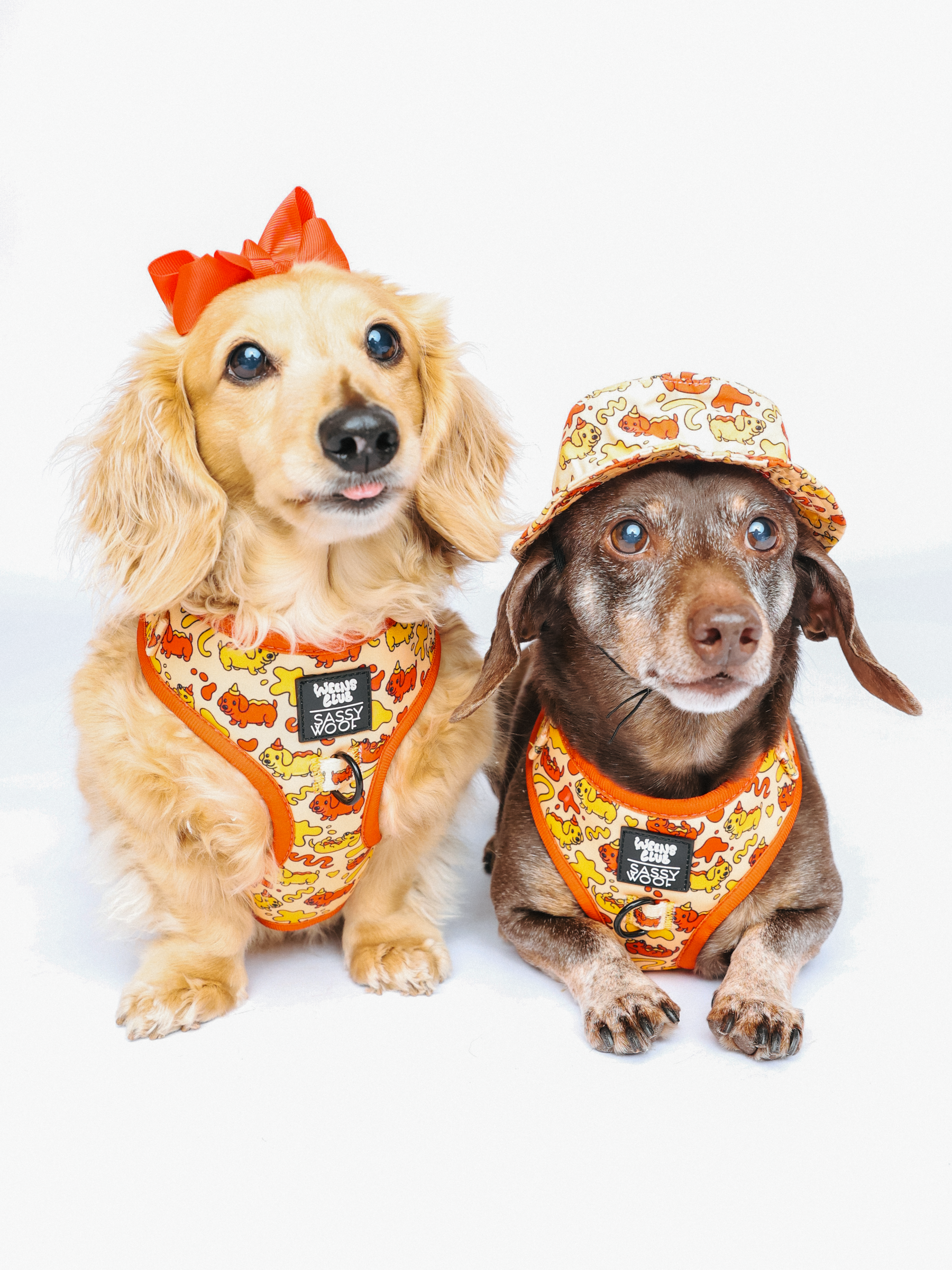 INFLUENCER_CONTENT | @MAYATHEDOX & @WINSTONTHEDOX | SIZE XS