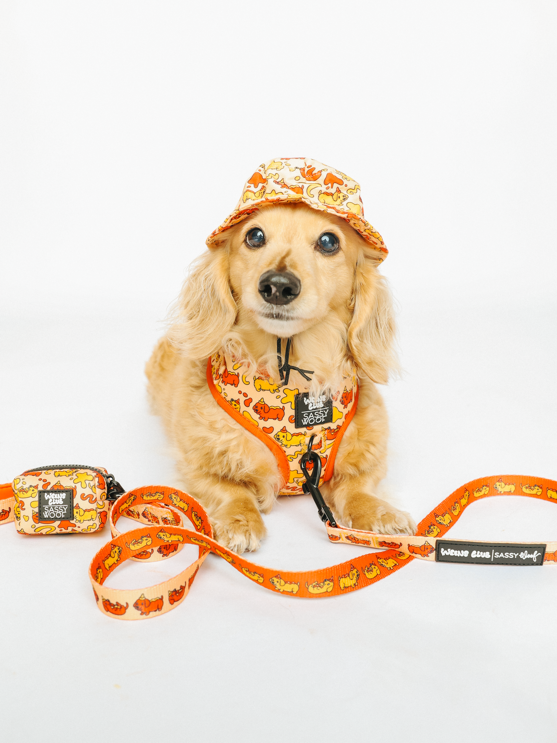 A light brown dachshund wears a matching orange hat, harness, and leash from the Sassy Woof Weenie Dog collection with a cartoon dog pattern. In front is the Sassy Woof Dog Waste Bag Holder - Hot Dawg and additional dachshund accessories on a white background.