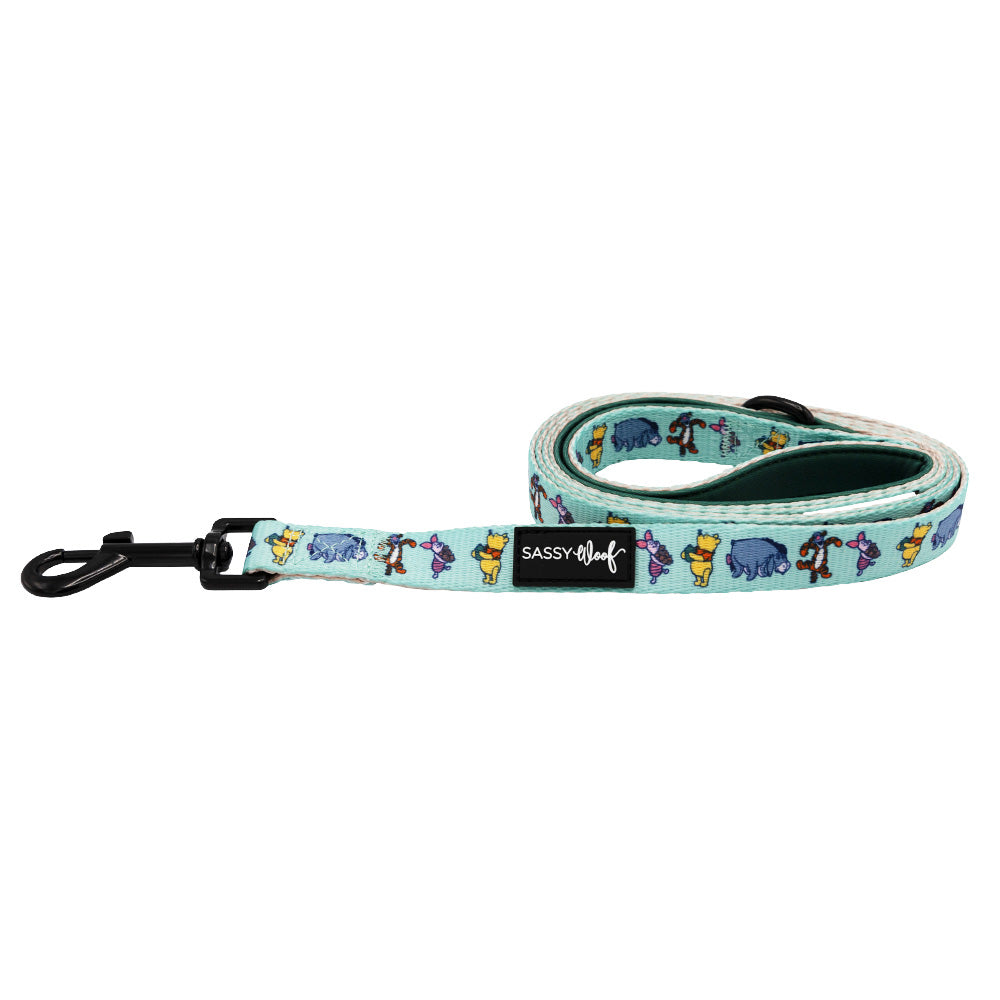 Dog Leash - Disney's Winnie the Pooh