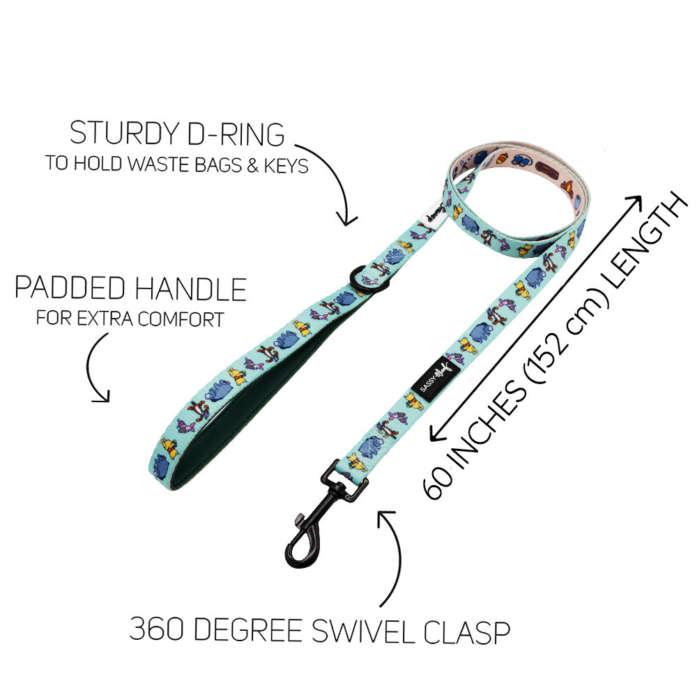 Dog Leash - Disney's Winnie the Pooh