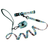 Collar Three Piece Bundle - Disney's Winnie the Pooh