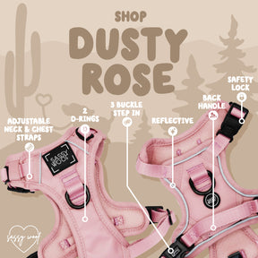 The Sassy Woof Dog Four Piece Bundle in Dusty Rose features a step-in harness with adjustable neck and chest straps, dual D-rings, reflective material, safety lock, back handle, and cactus-themed desert graphics.