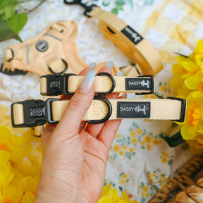 A hand with long, manicured nails holds two Sassy Woof Dog Collar - Daffodil collars. In the background, bright yellow flowers, a matching harness, and leash sit on a floral-patterned surface.