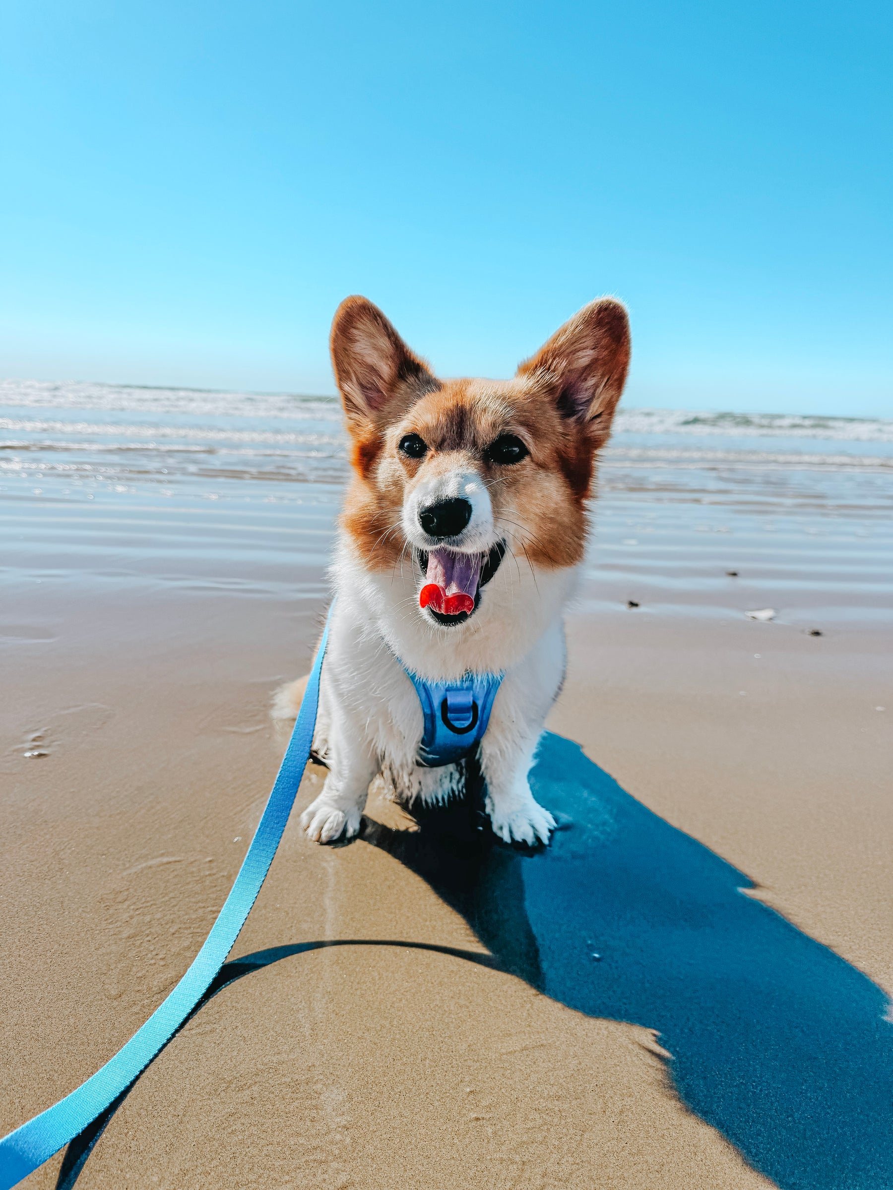 INFLUENCER_CONTENT | @DAISYTHEJOLLYBEE | SIZE S