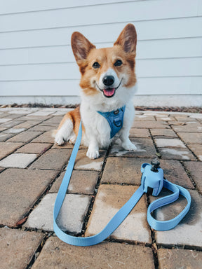 INFLUENCER_CONTENT | @DAISYTHEJOLLYBEE | SIZE S