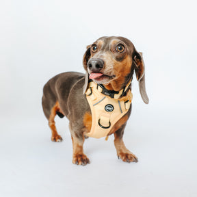 INFLUENCER_CONTENT | DEX | SIZE S