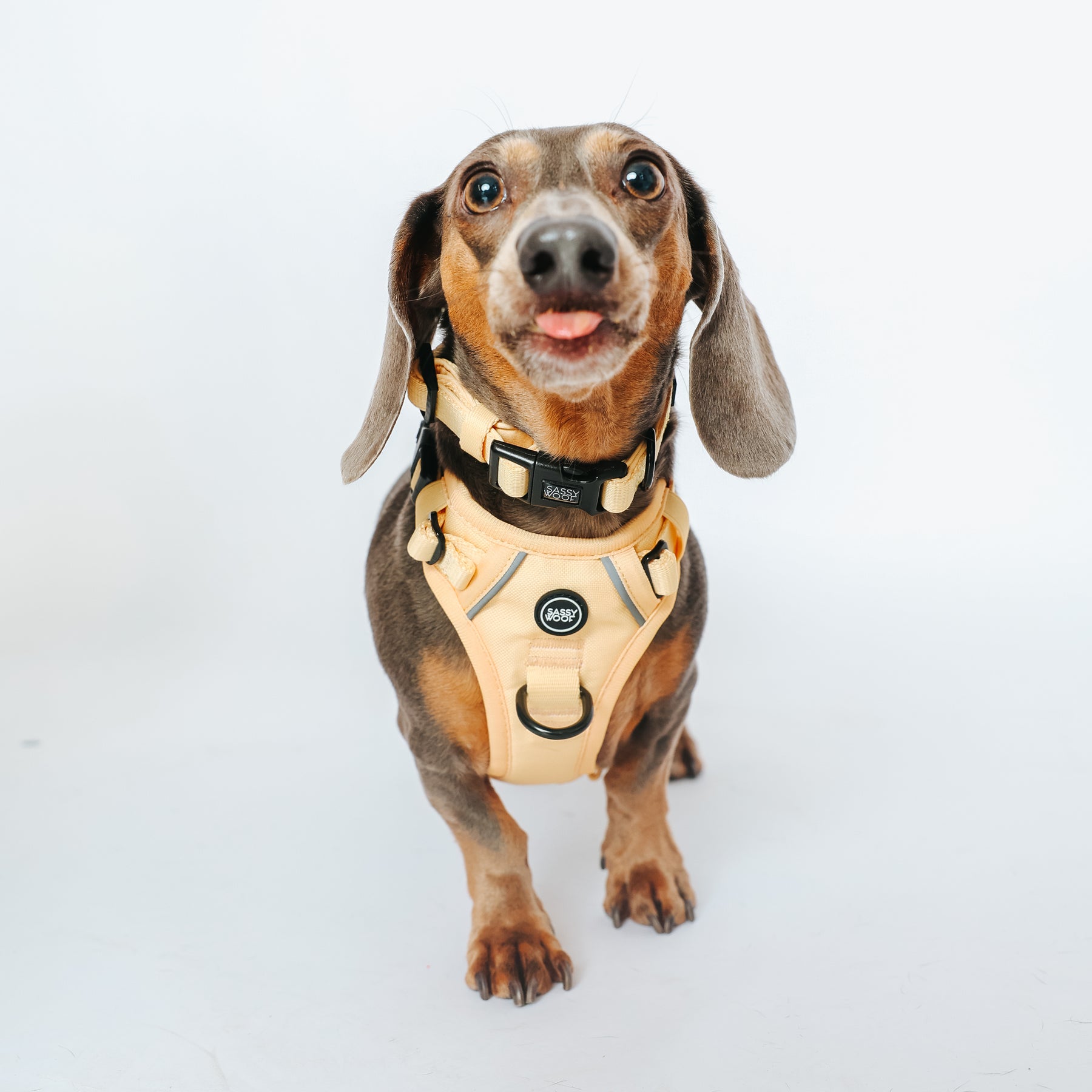 INFLUENCER_CONTENT | DEX | SIZE XS