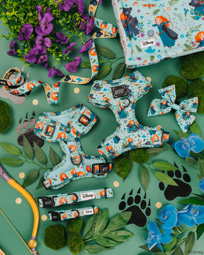 A flat lay displays the Sassy Woof Dog Adjustable Harness – Disney’s Merida, surrounded by purple and blue flowers, paw prints, moss, a toy bow and arrow, gold coins, and a Disney blanket on green.