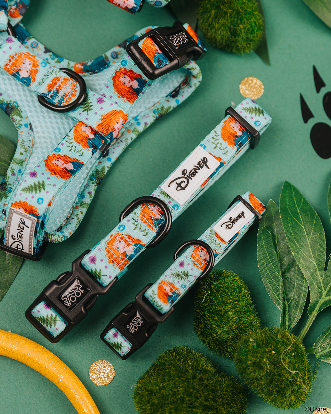 Sassy Woof’s Dog Collar - Disney’s Merida is displayed on a green background with artificial moss, leaves, and gold coins, creating a playful, nature-inspired scene.